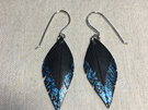 Tomtit Earrings with Blue