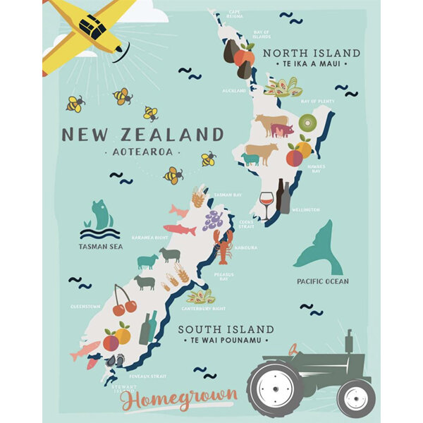 Toodles Noodles NZ Map Homegrown Lens Cloth