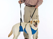 Total Dog Harness