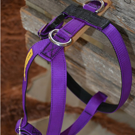 Tracking Harness