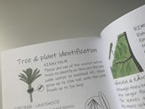 tree and plant identification for kids nz