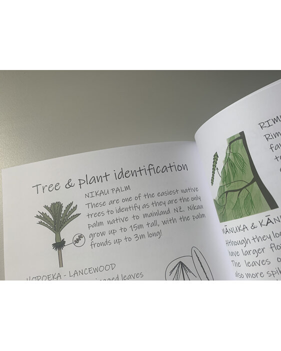 tree identification plant identification for kids