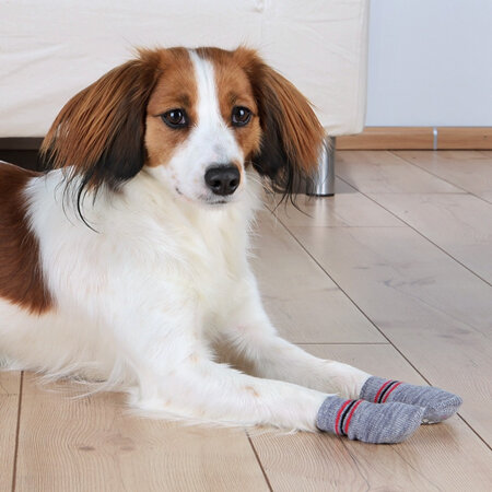 Trixie - Dog Socks