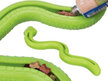 Trixie - Snack Snake 42cm