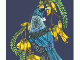 Tui + Kowhai Colourway