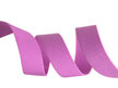 Tula Pink for Renaissance Ribbons   1" Polyester Webbing  Price per Half Metre