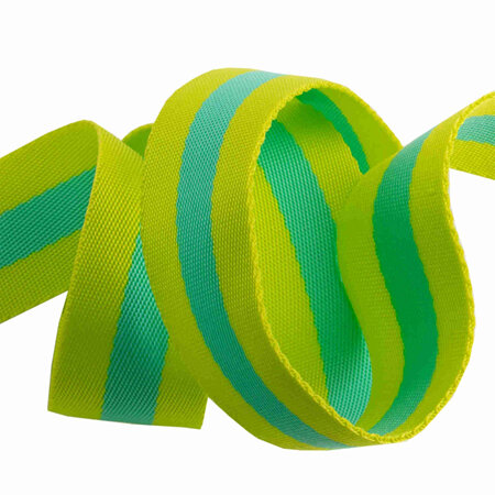 Tula Pink Webbing 1.5"  Lime & Turquoise