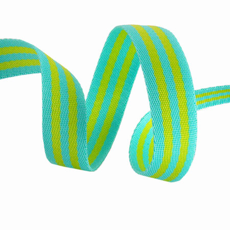 Tula Pink Webbing 1"  Lime & Turquoise