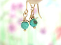 turquoise december birthstone rosehips earrings gold lily griffin nz jeweller