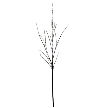 Twig Branch 4362