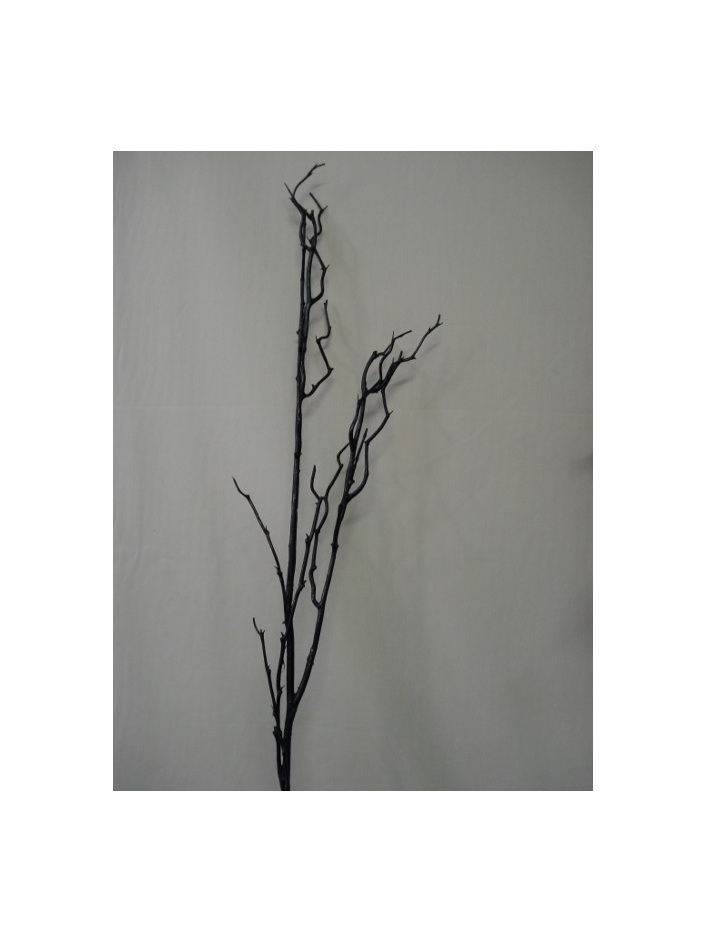 twig branch