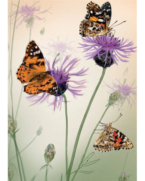 Two Bad Mice - Painted Ladies Butterflies Card