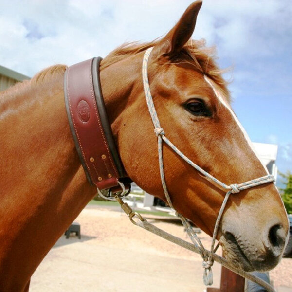 Tying Up Collar