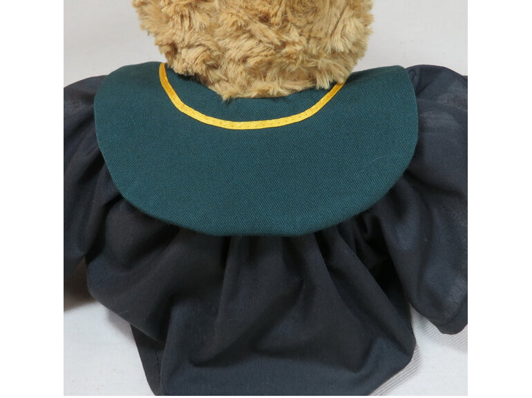 Undergraduate Diploma Roly Bear with Stole