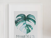 "Variegated Monstera" Prints and Greeting Cards