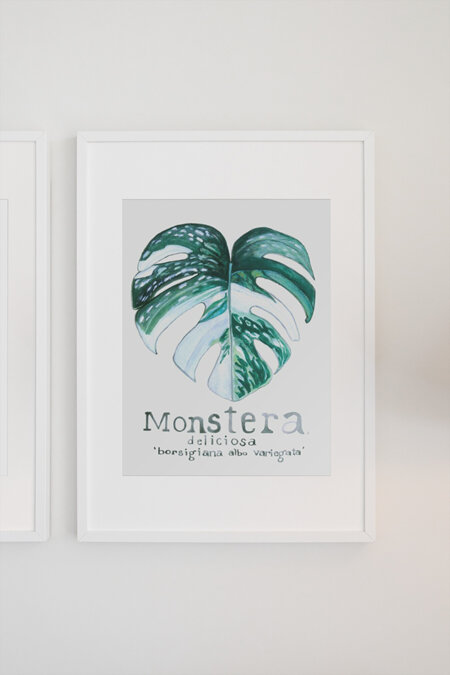 "Variegated Monstera" Prints and Greeting Cards