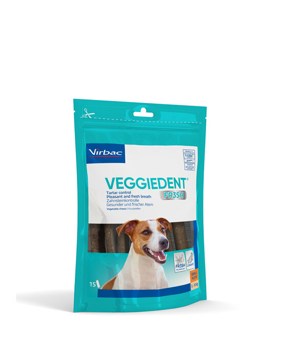 Veggiedent FR3SH Dog