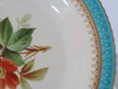Victorian hand painted plate