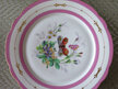 Victorian plate butterfly