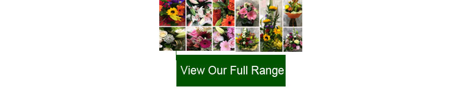 View our full range available for delivery to Epsom