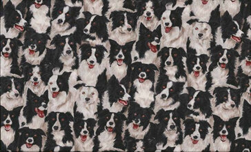 Village Life - Border Collies