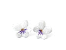 violet flower studs pansy white tiny sterling silver earrings lilygriffin nz
