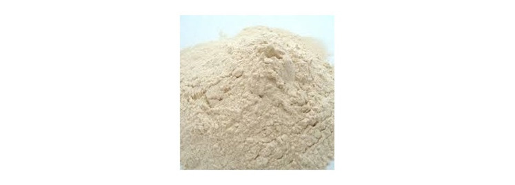 Vital Wheat Gluten Flour - 100gms
