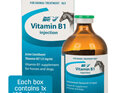 VITAMIN B1 100ML