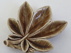 Wade leaf