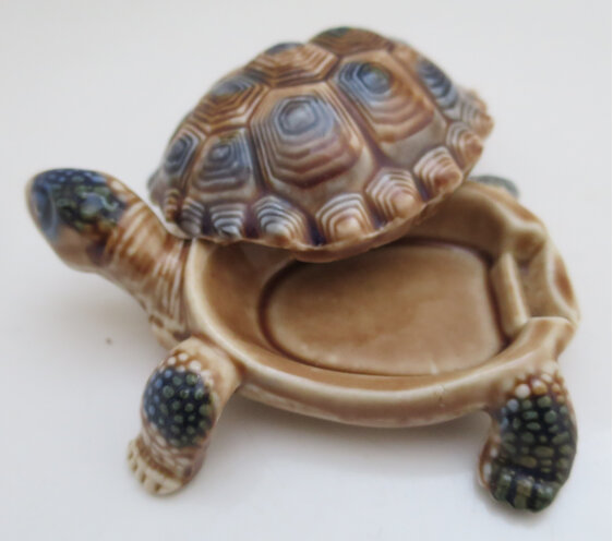 Wade tortoise