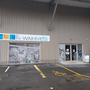 Waihi Vets clinic