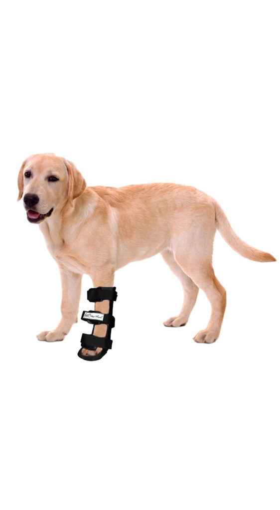 Walkin Wheels Dog Splints