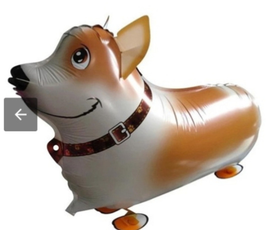 Walking pet toy balloon for your child