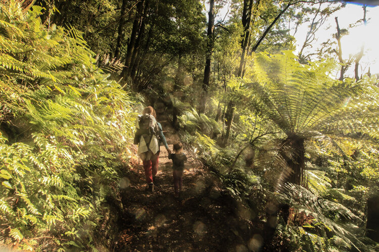 walking tramping hiking with a preschooler nz