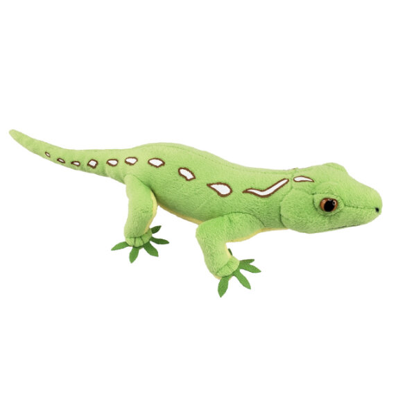 Wellington Green Gecko