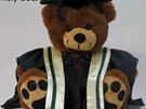 Wellington School of Business and Government-Faculty of Commerce Roly Bear with Stole