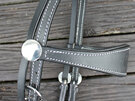 Western Bridle with Reins