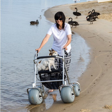 WheelEEZ® All-Terrain  Beach Rollator