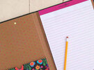 When you need a hard surface to write on, take this colourfully cute Clipfolio w