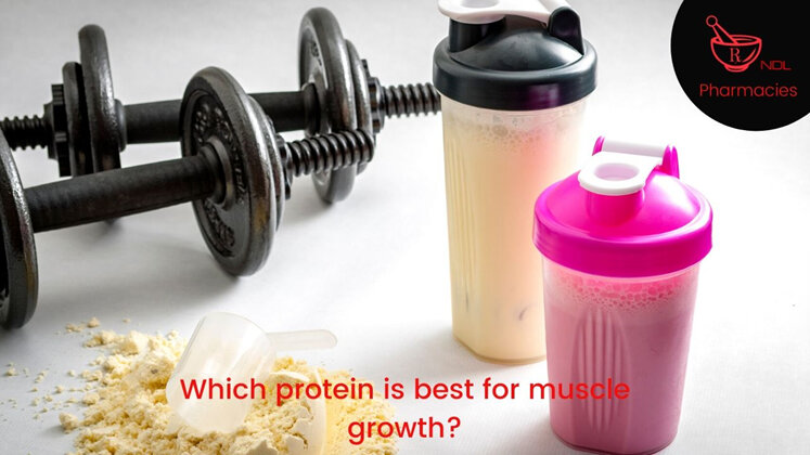 Which protein is best for muscle growth?
