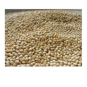 White Quinoa 2.5 kg