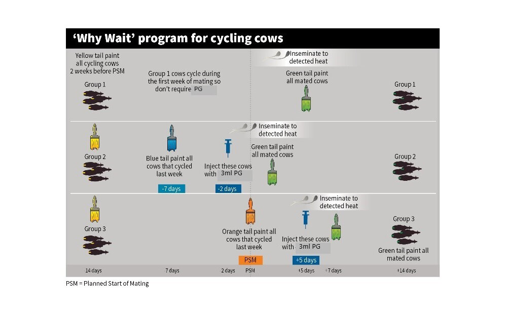 Why Wait? Diagram