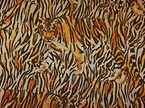 Wild Camo - Tiger on Tiger Stripe