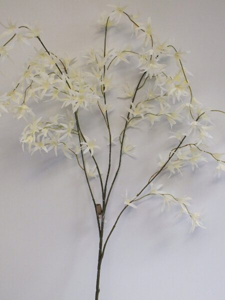 Wild Orchid white 4426