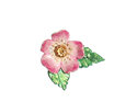 wild rose flower leaves pink green sterling silver lapel pin brooch lilygriffin
