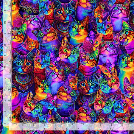 Wildcat - Packed Rainbow Cats