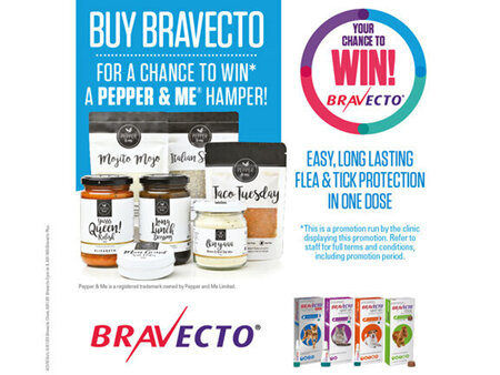 Win with Bravecto