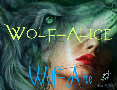 Wolf-Alice