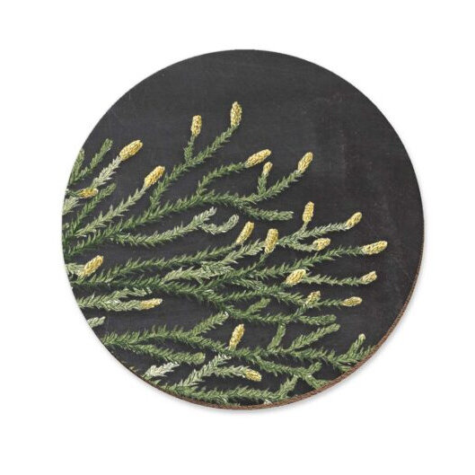 Wolfkamp & Stone Coaster Rimu Red Pine