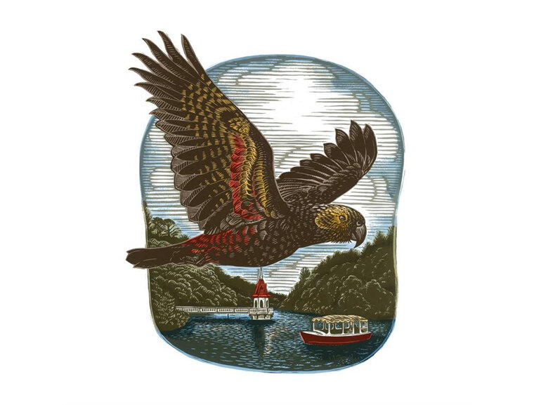 Wolfkamp & Stone - Kaka At Zealandia Card parrot woodcut